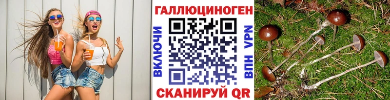 Галлюциногенные грибы GOLDEN TEACHER  закладки  Чегем 